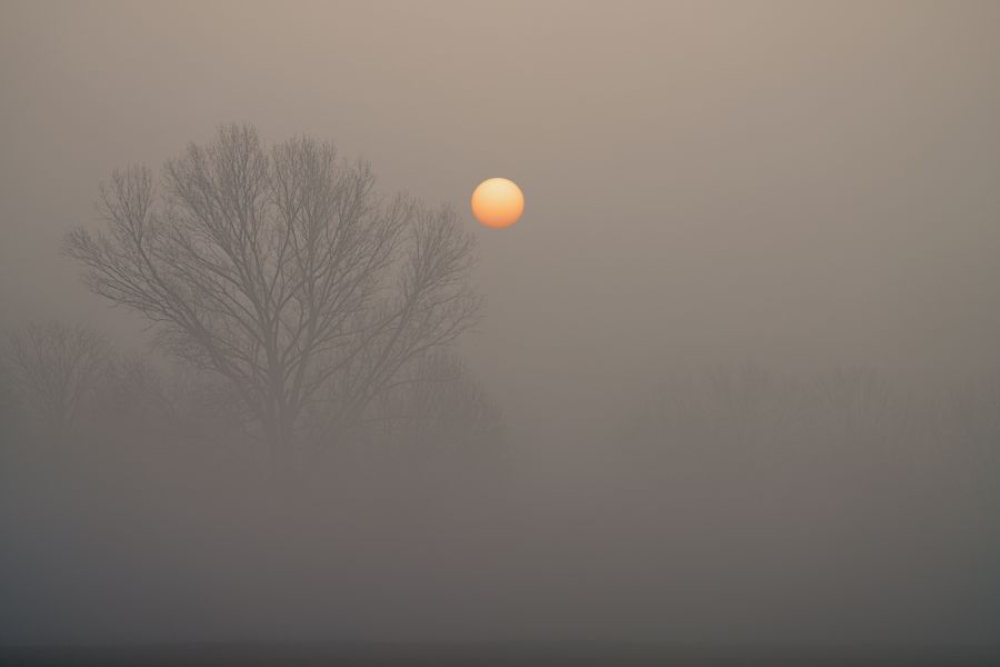 Alba nella nebbia