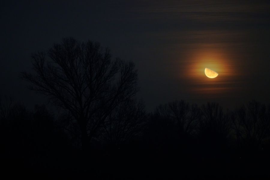 Luna nella nebbia