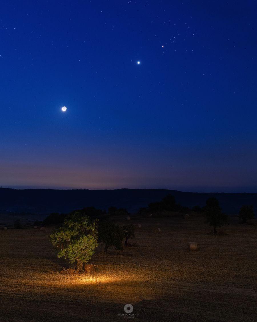 Dipinto sulla campagna iblea