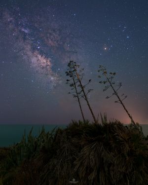 Milky Way sulle Agavi