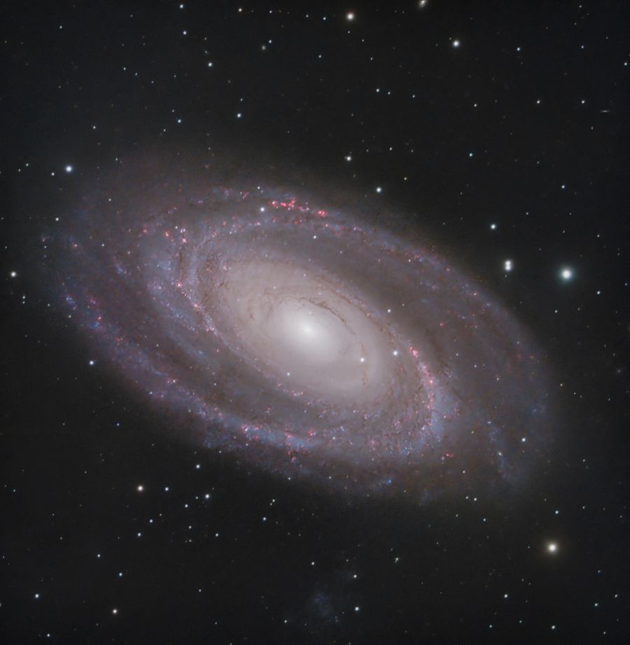 M81 – Galassia di Bode