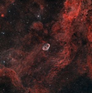 Complesso nebulare attorno alla Nebulosa Crescent