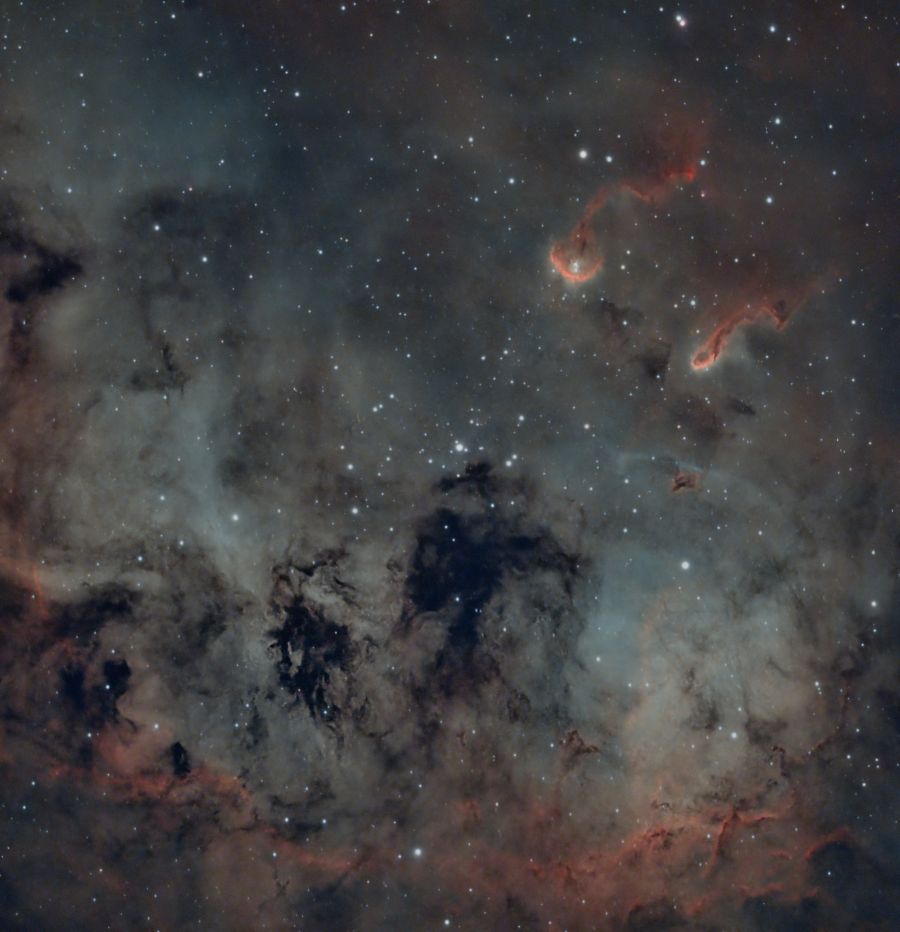 IC410 NEBULOSA GIRINO