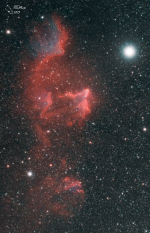 IC 59 & IC 63: fantasmi in Cassiopea