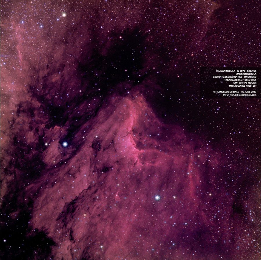 IC5070 – Pelican Nebula