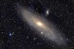 M31