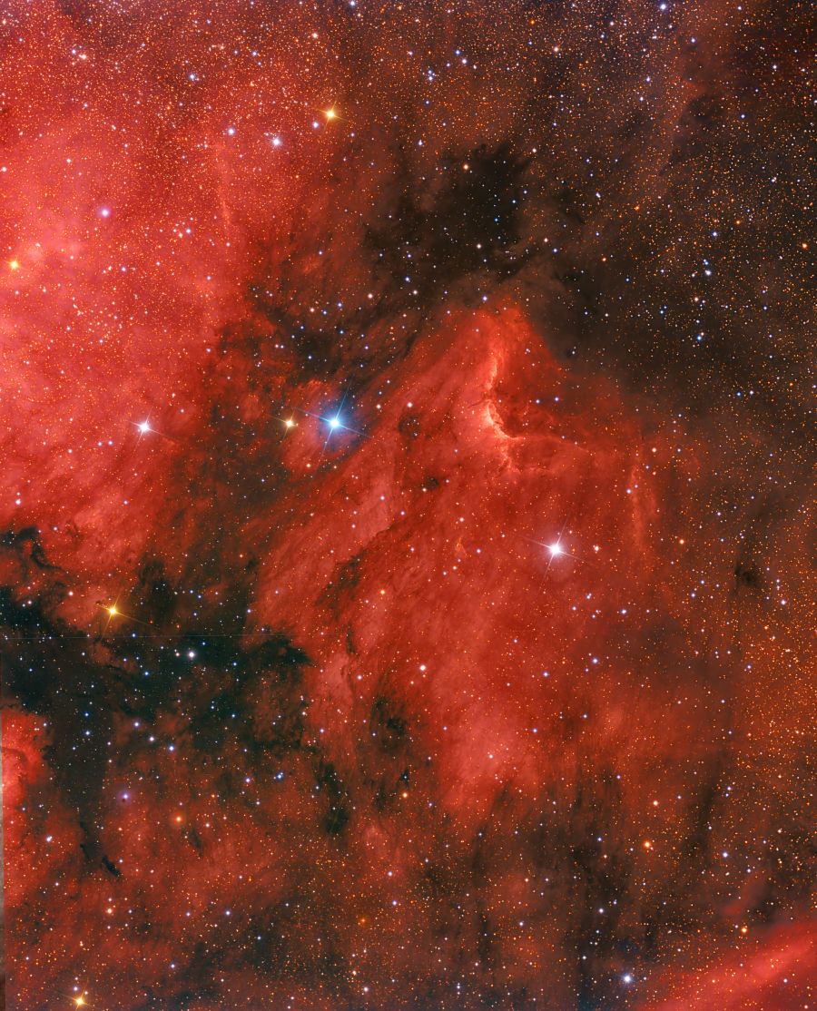 Pelican Nebula