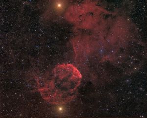 IC 443 - jellyfish