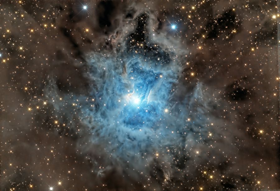 Iris Nebula – NGC 7023