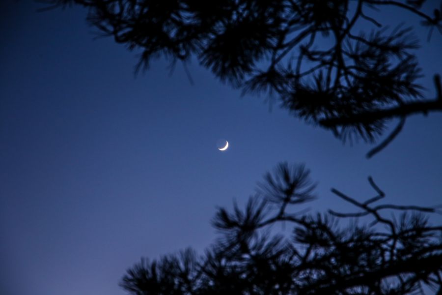 Falce di Luna con luce cinerea