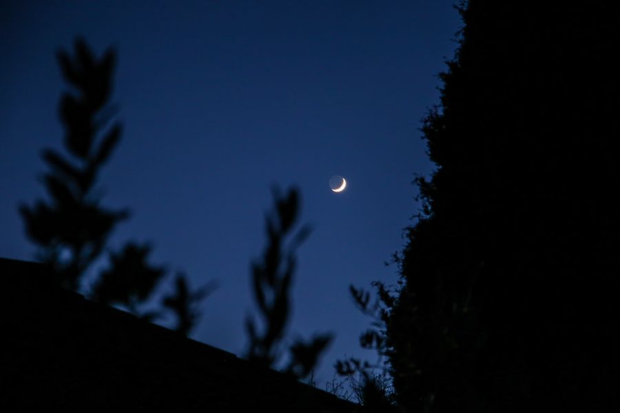 Falce di Luna con luce cinerea