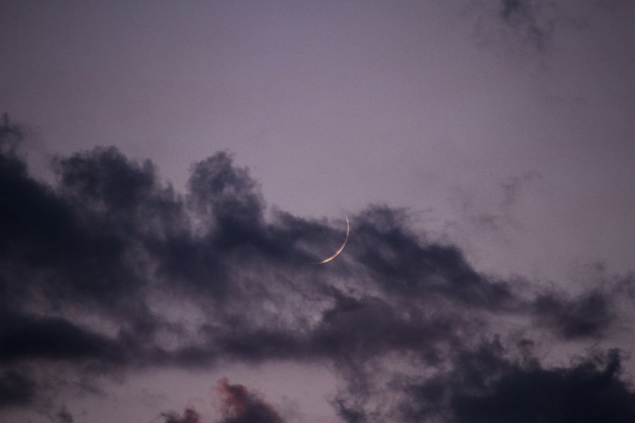 Falcetto di Luna al secondo giorno