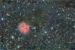 Cocoon Nebula - IC 5146