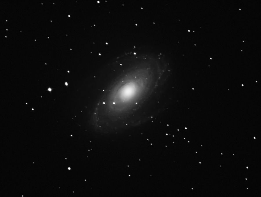 m 81