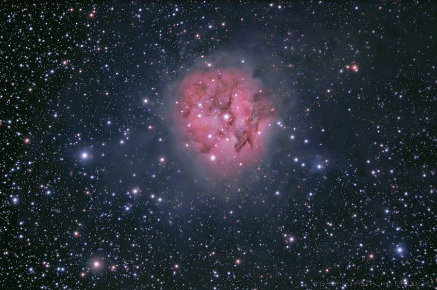 Cocoon Nebula