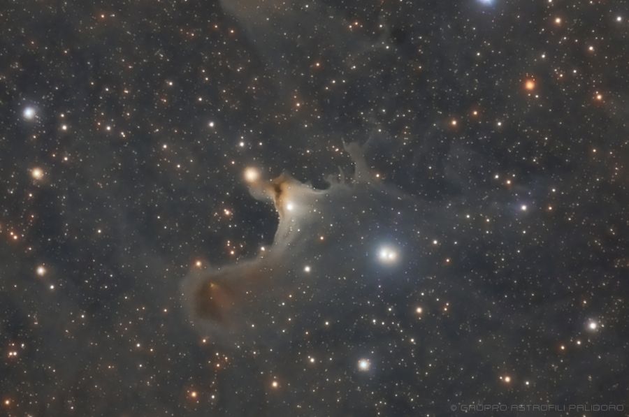 Nebulosa Fantasma