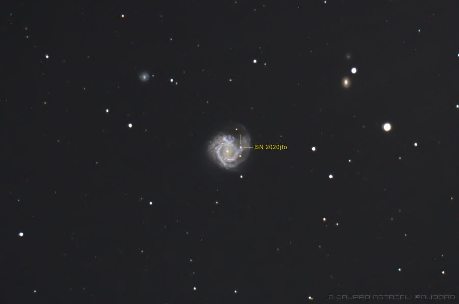 Supernova 2020jfo in M61