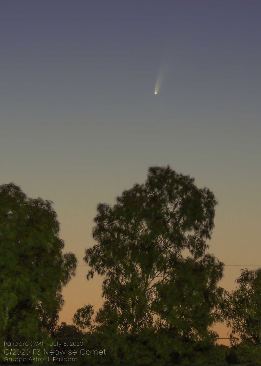 Cometa C/2020 F3 Neowise sugli alberi