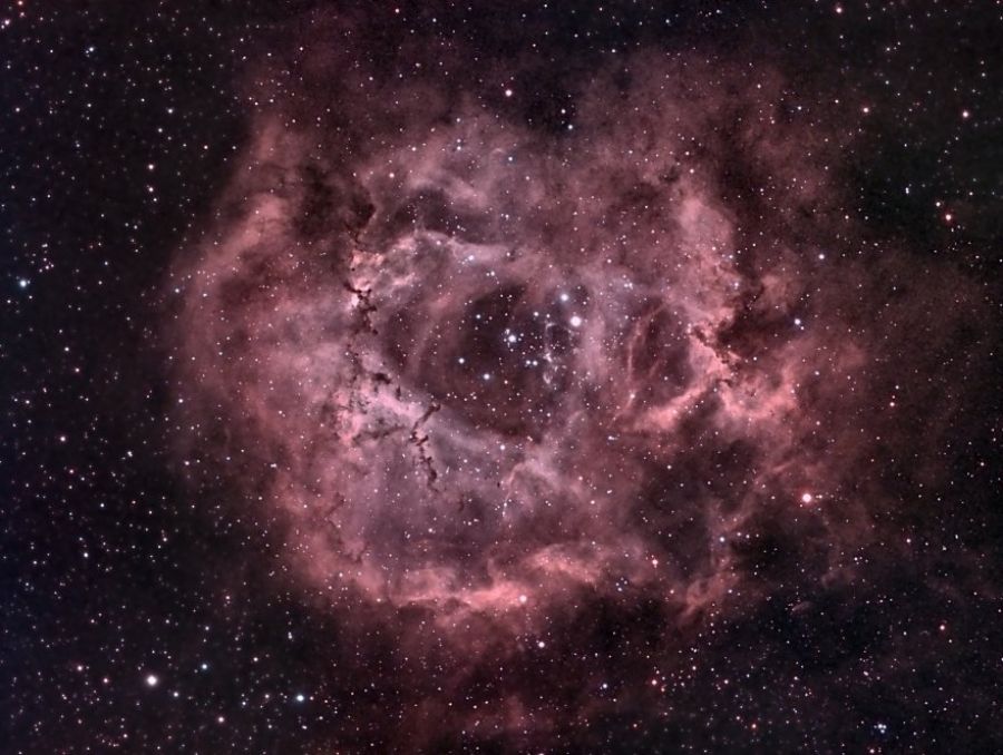 Nebulosa Rosetta