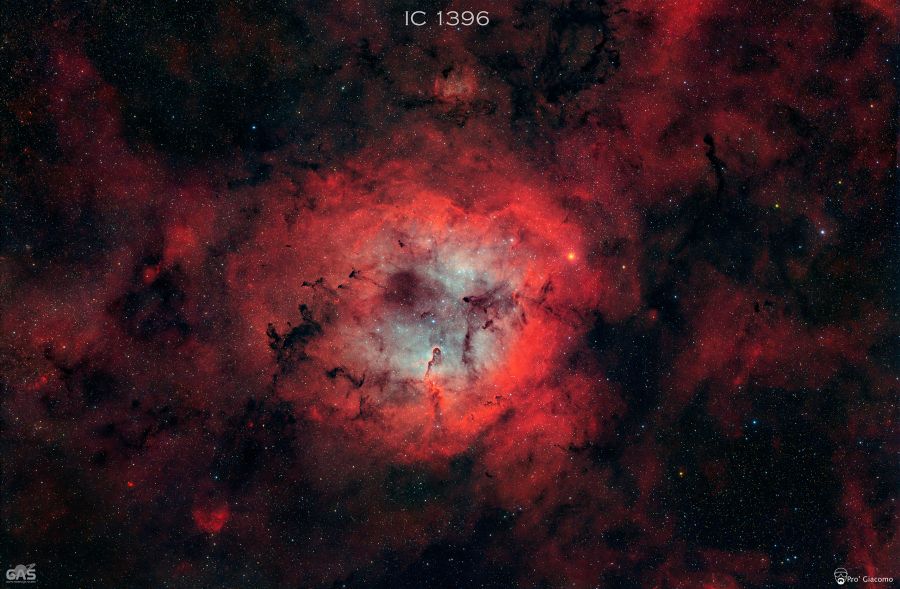 IC 1396