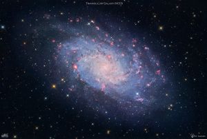 M 33