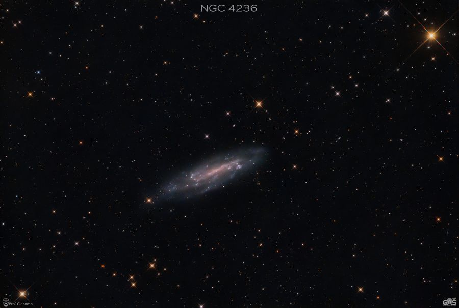 NGC 4236