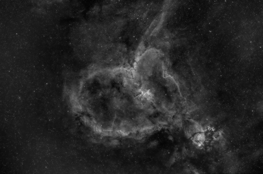 IC 1805 Single shot with reflex