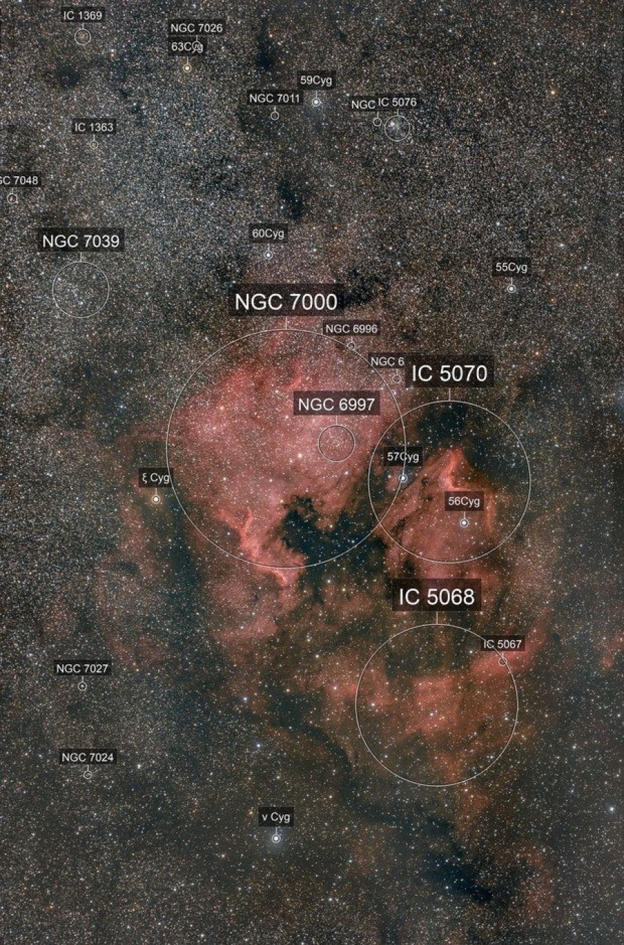 Quante meraviglie possono entrare in uno scatto a 250 mm di focale