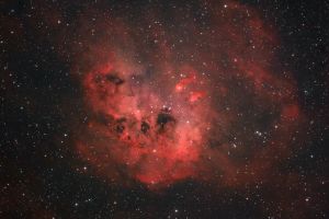 IC410 - Nebulosa Girino