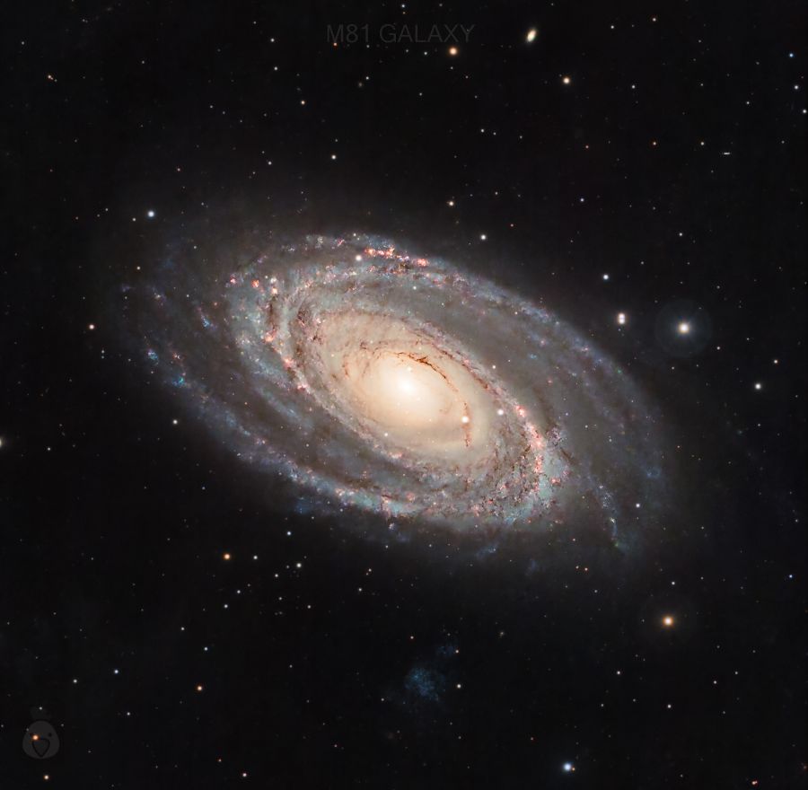 M81 The Bode Galaxy