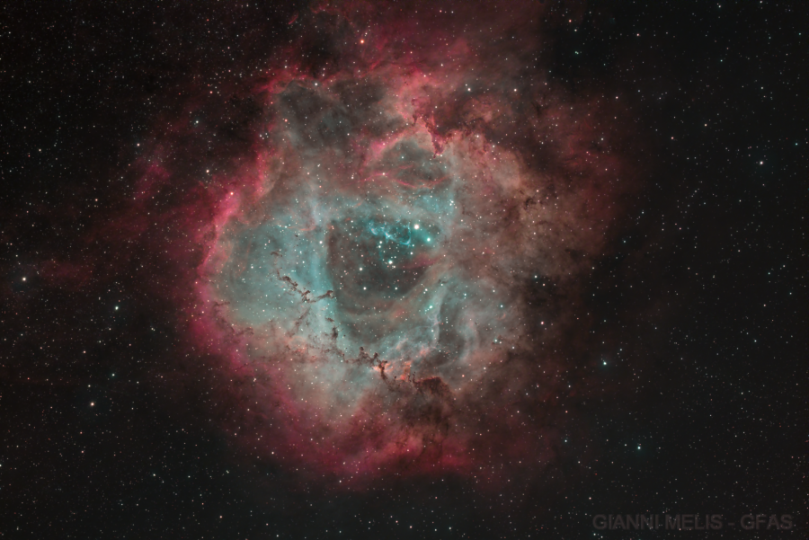 SH2-275 UNA ROSA NELLO SPAZIO