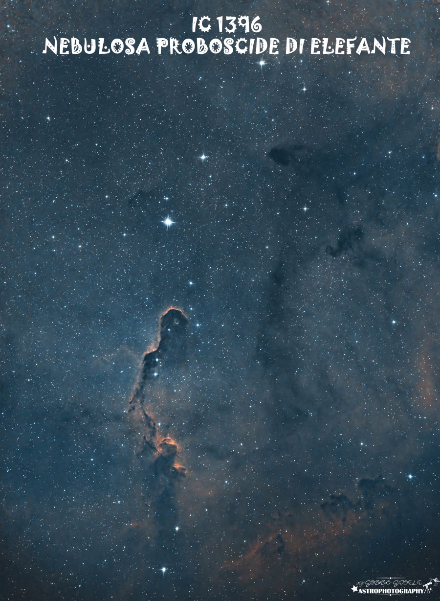 IC1396