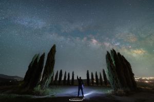 Cipressi della Val d'Orcia