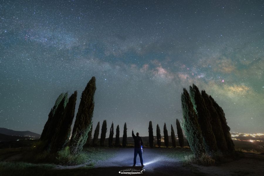 Cipressi della Val d’Orcia