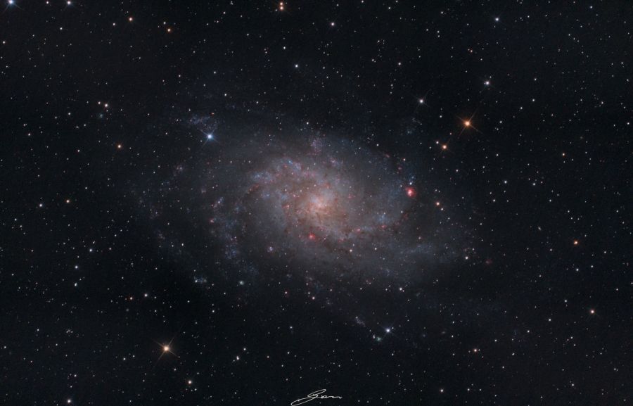 M33