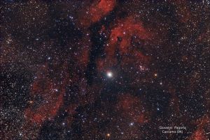 Stella  Sadr - IC 1318 