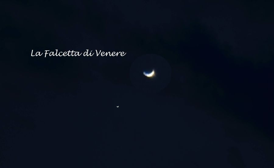 La falcetta di Venere