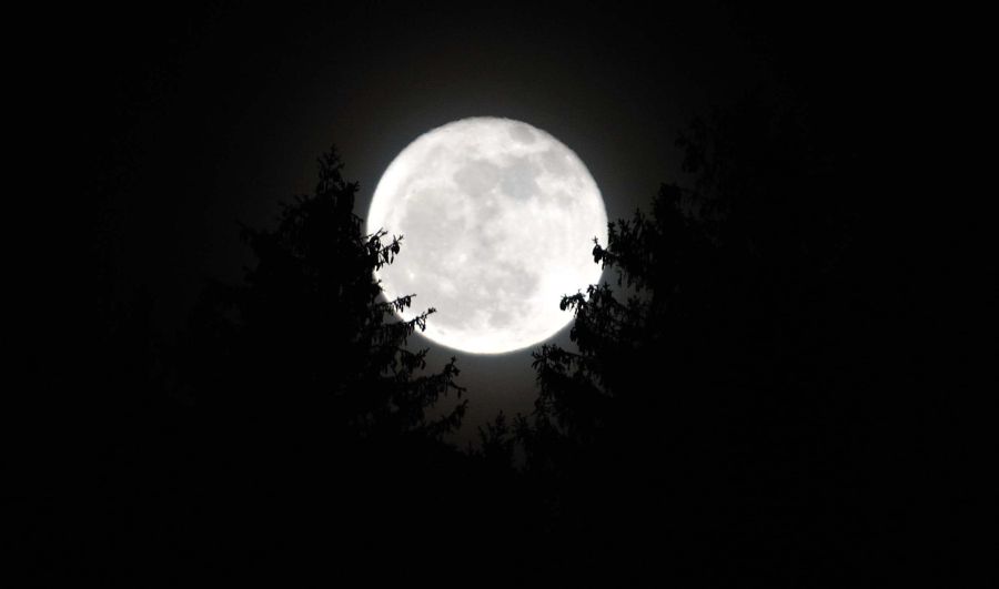 Luna piena abbracciata agli alberi