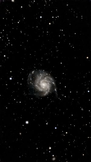 M 101