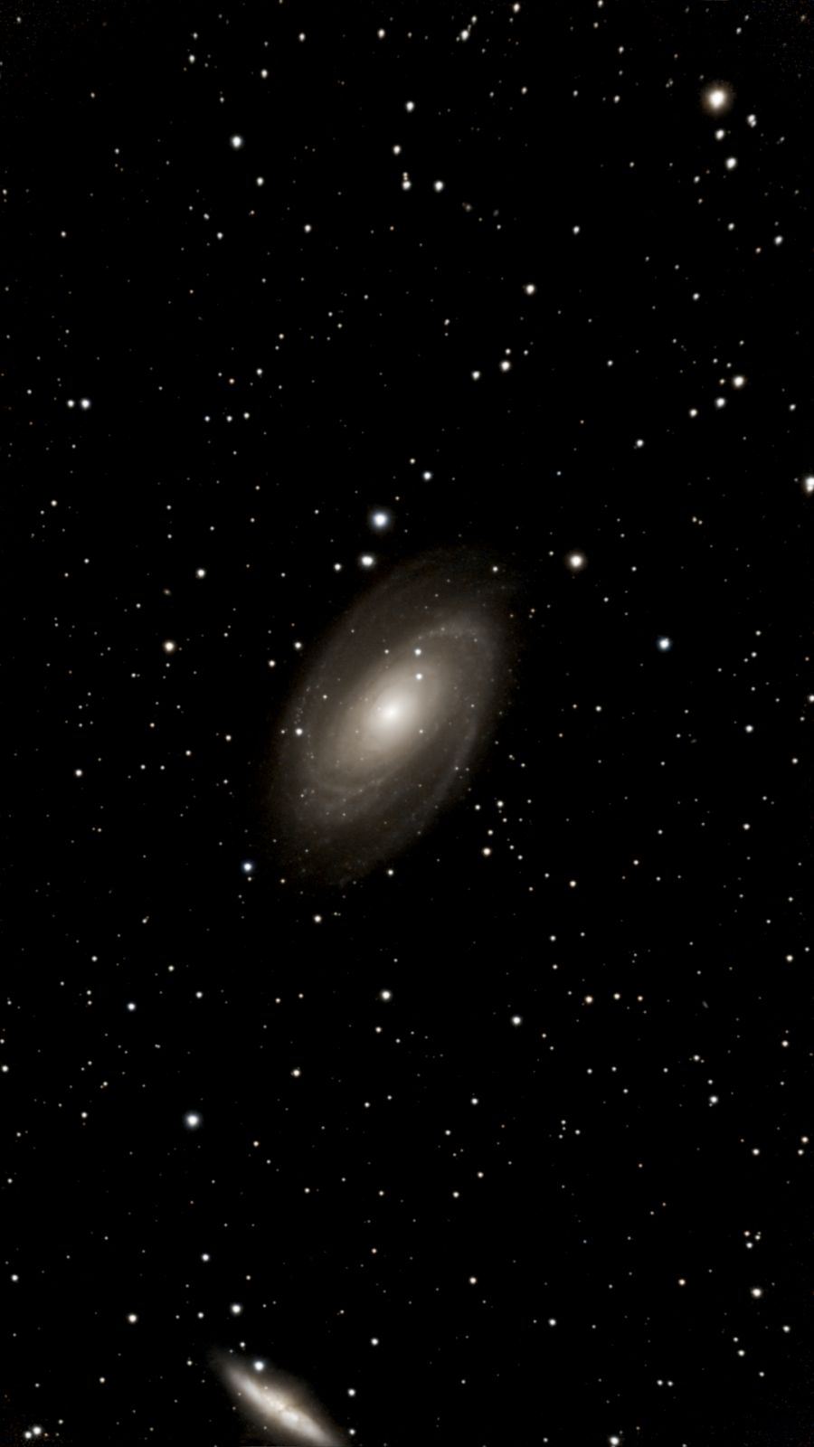 M 81 ed M 82