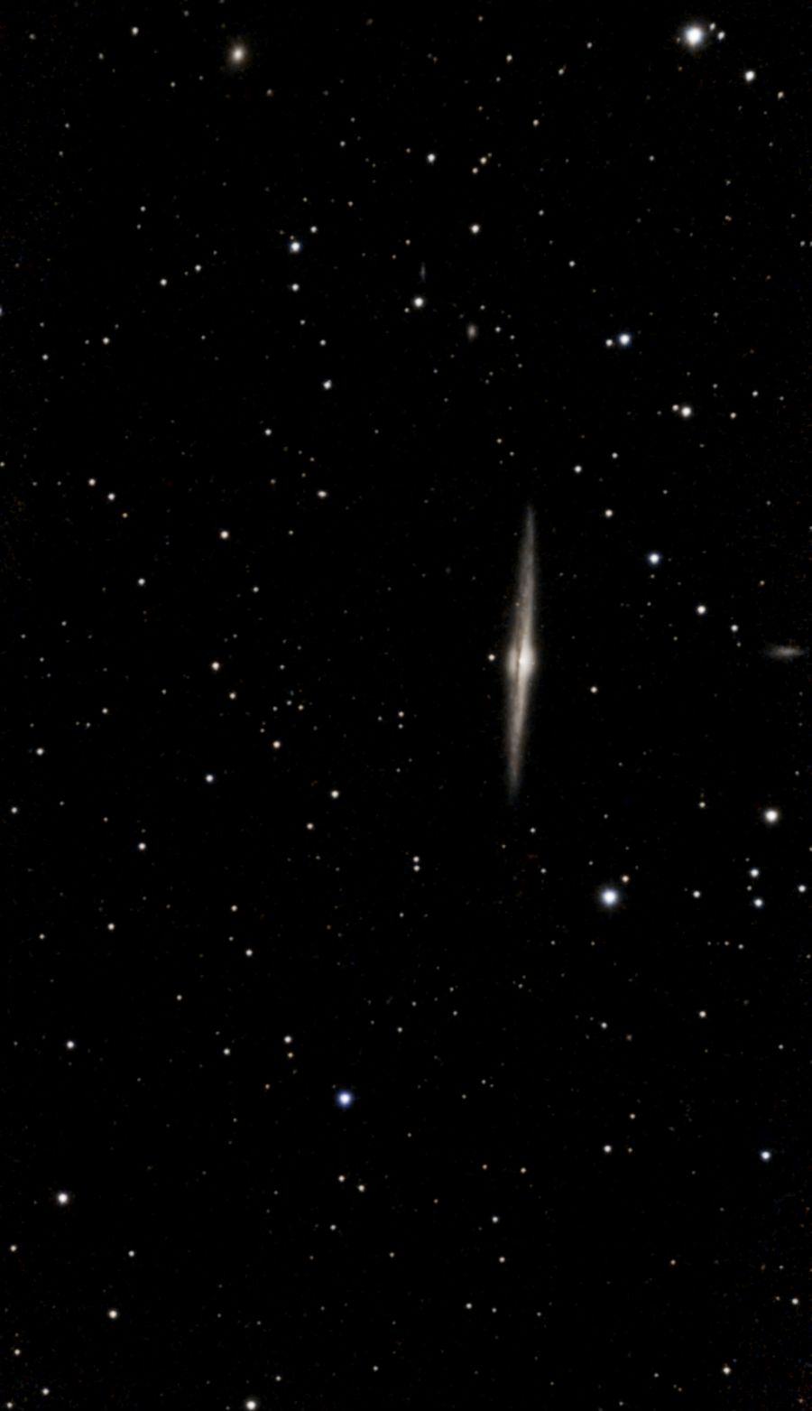 NGC 4565