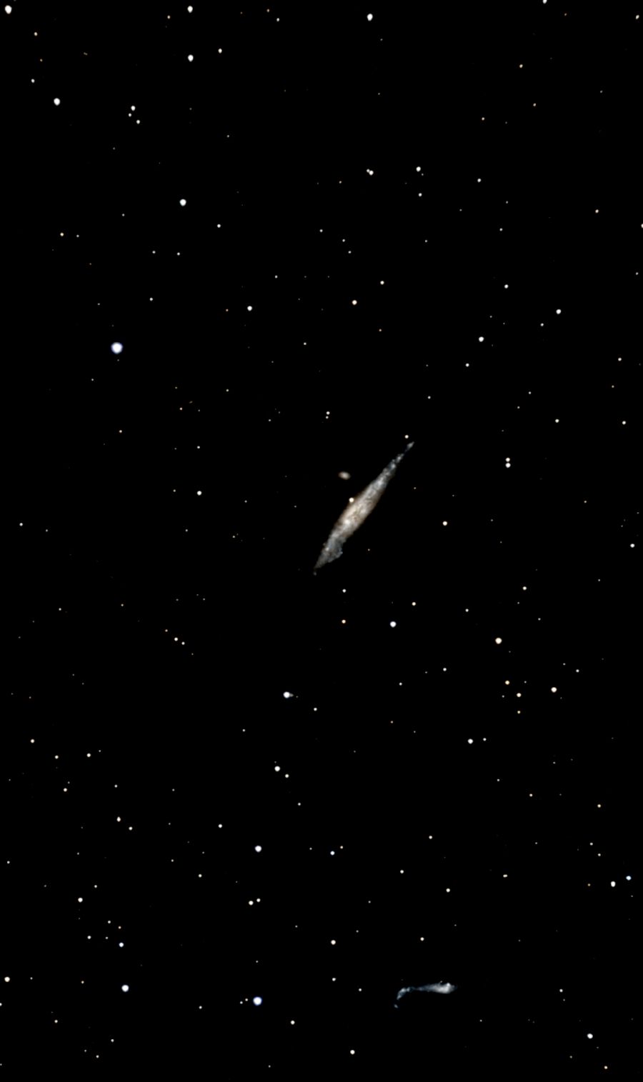 NGC 4631