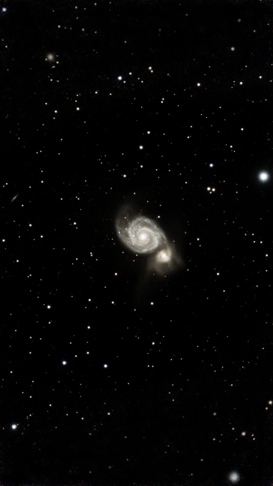 M51