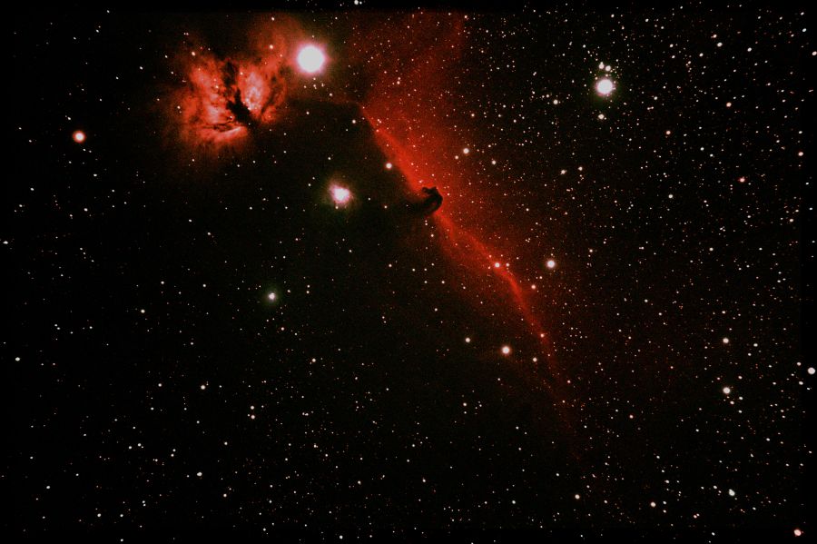 Nebulosa Testa di Cavallo