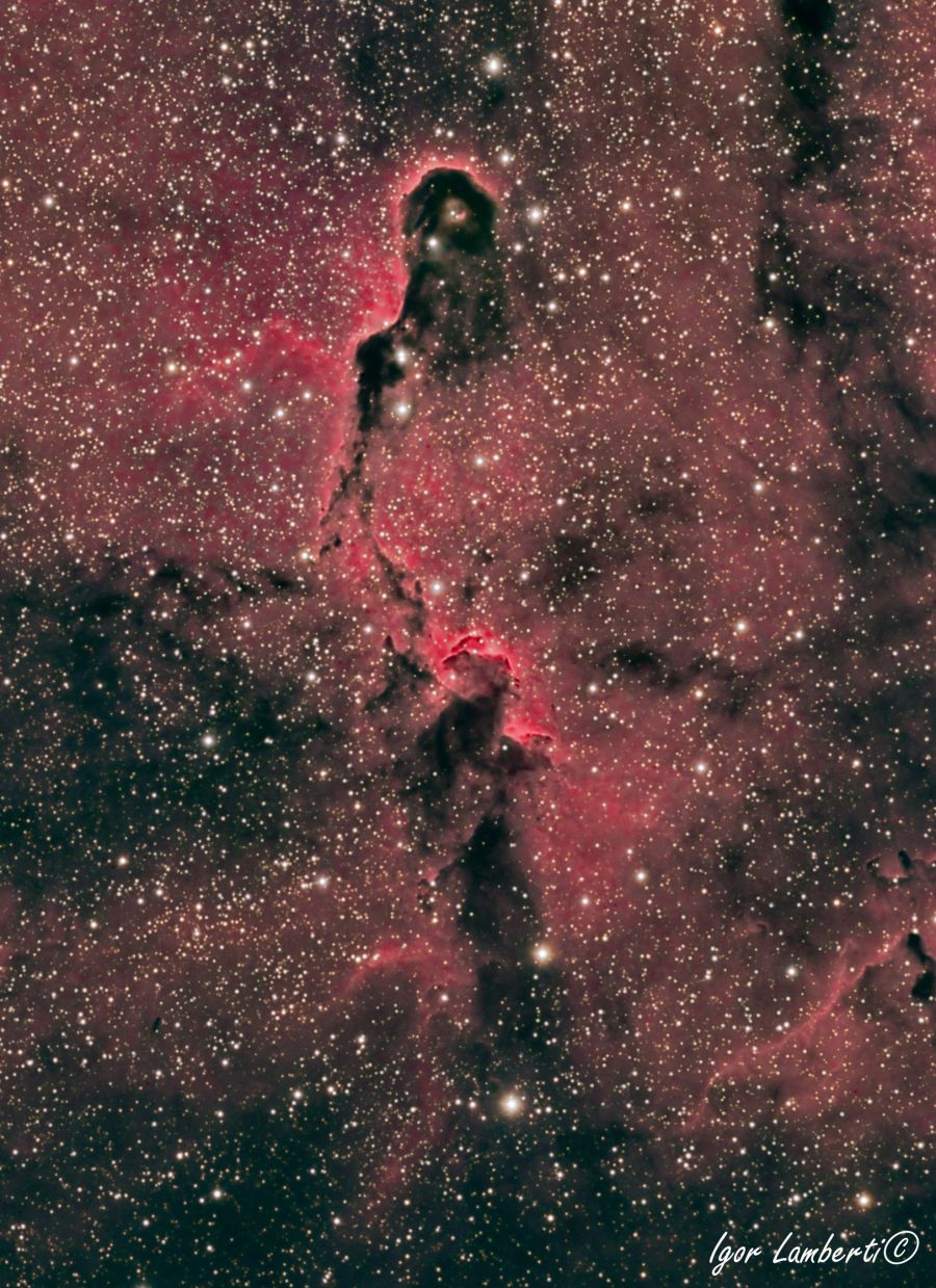 Elephant’s Trunk nebula VDB 142