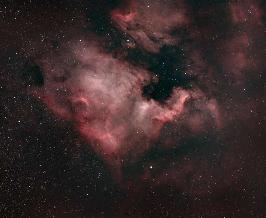 La nebulosa Nord America NGC 7000