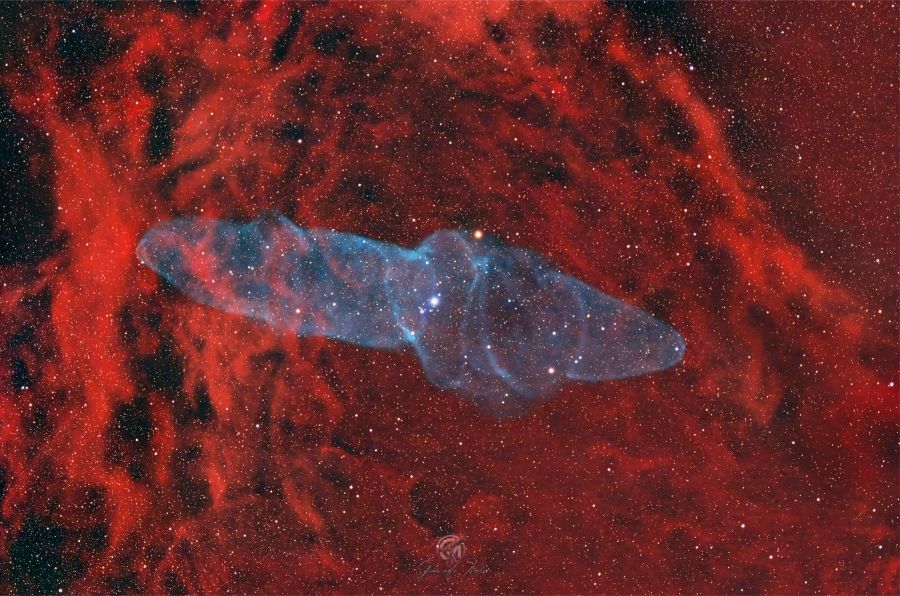 Squid Nebula