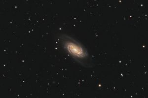 Galassia NGC2903