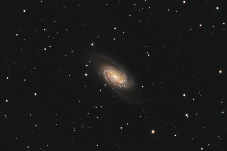 Galassia NGC2903