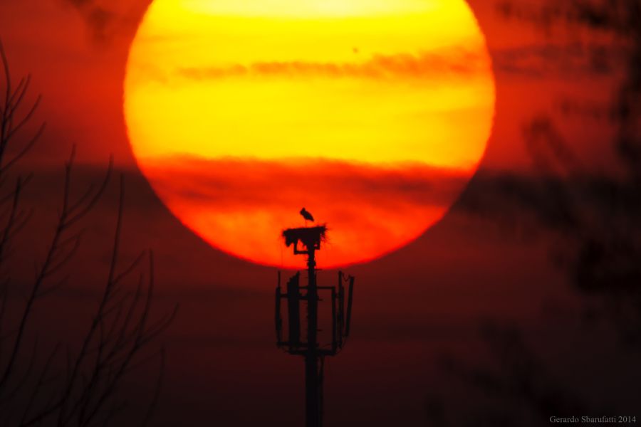 tramonto con silhouette